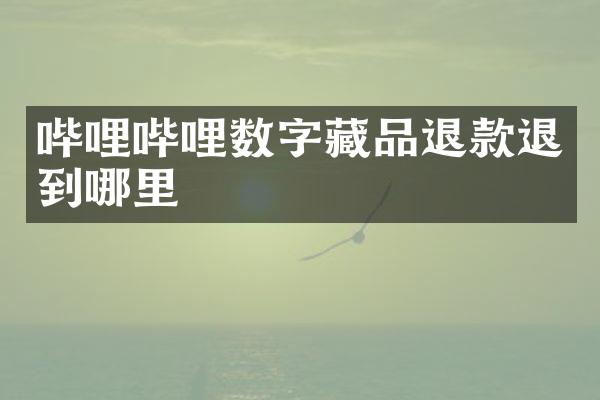 哔哩哔哩数字藏品退款退到哪里