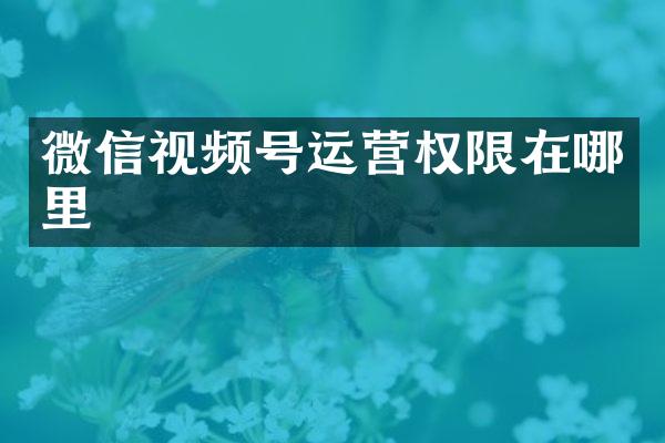 微信视频号运营权限在哪里