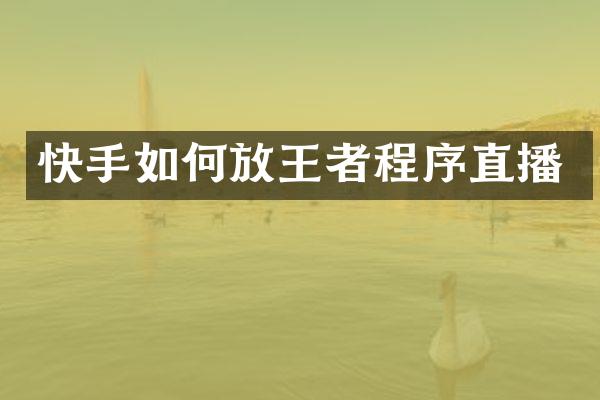 快手如何放王者程序直播