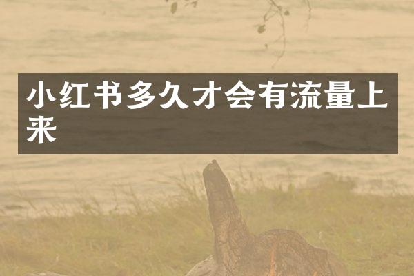 小红书多久才会有流量上来