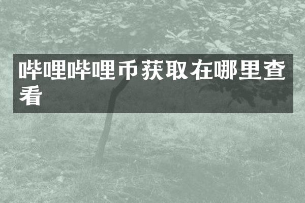 哔哩哔哩币获取在哪里查看