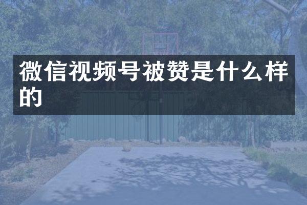 微信视频号被赞是什么样的