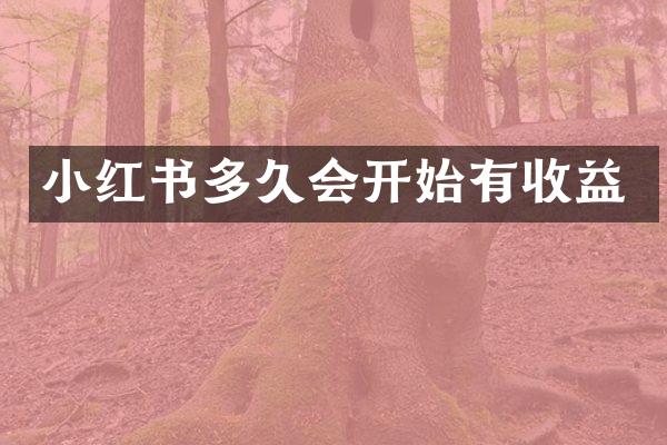 小红书多久会开始有收益
