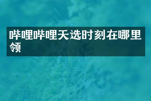 哔哩哔哩天选时刻在哪里领