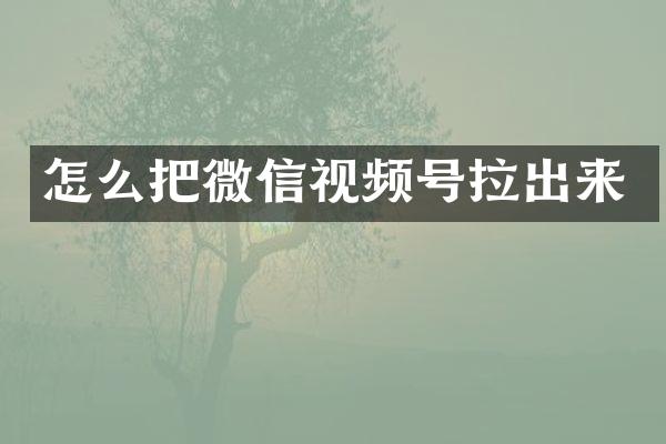 怎么把微信视频号拉出来