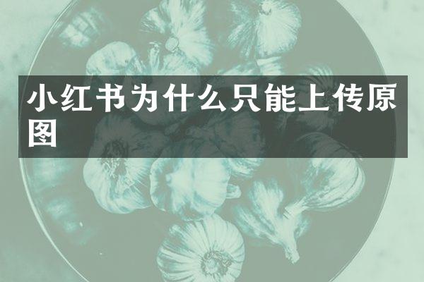 小红书为什么只能上传原图