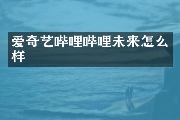 爱奇艺哔哩哔哩未来怎么样