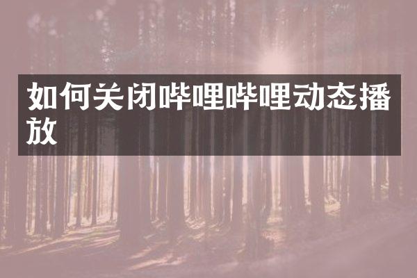 如何关闭哔哩哔哩动态播放