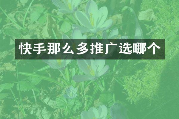 快手那么多推广选哪个