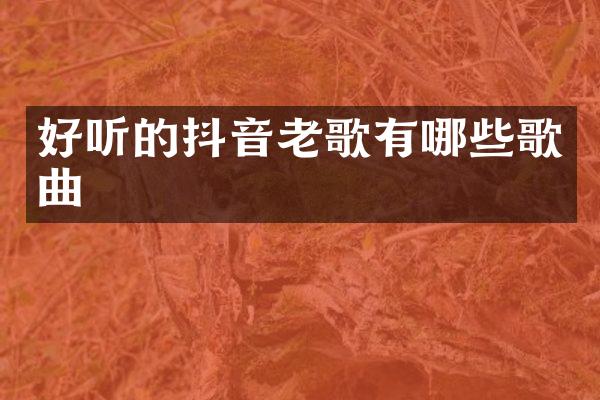 好听的抖音老歌有哪些歌曲