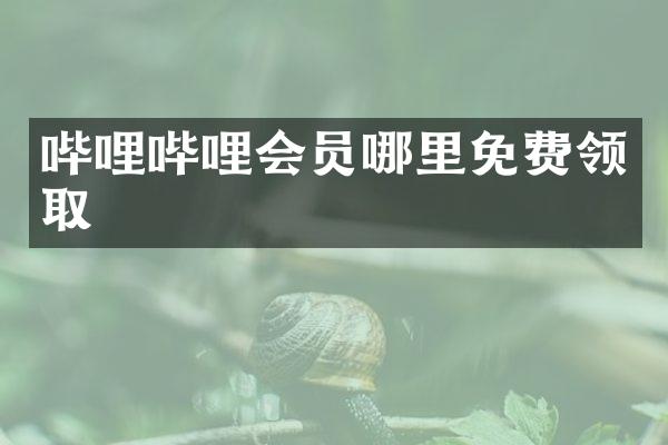 哔哩哔哩会员哪里免费领取