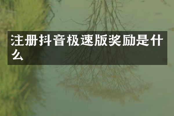 注册抖音极速版奖励是什么