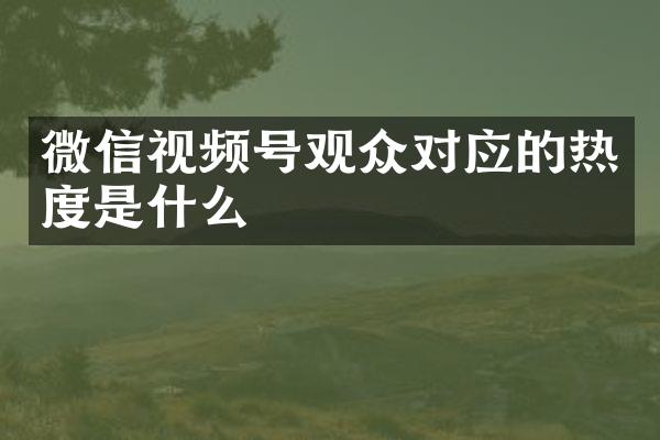 微信视频号观众对应的热度是什么