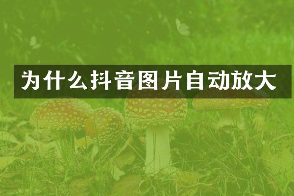 为什么抖音图片自动放大