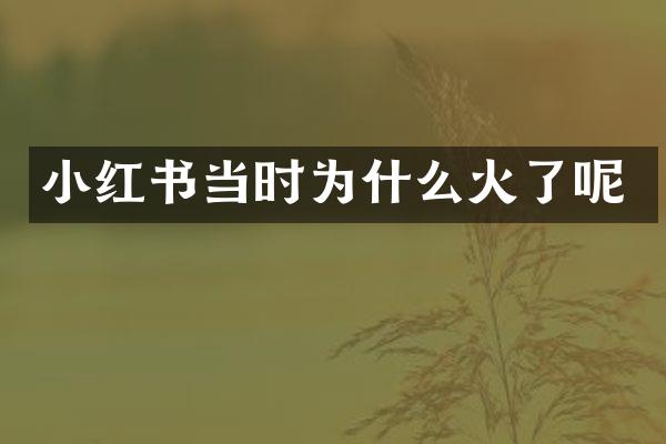 小红书当时为什么火了呢