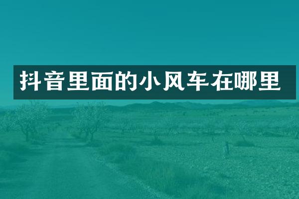 抖音里面的小风车在哪里