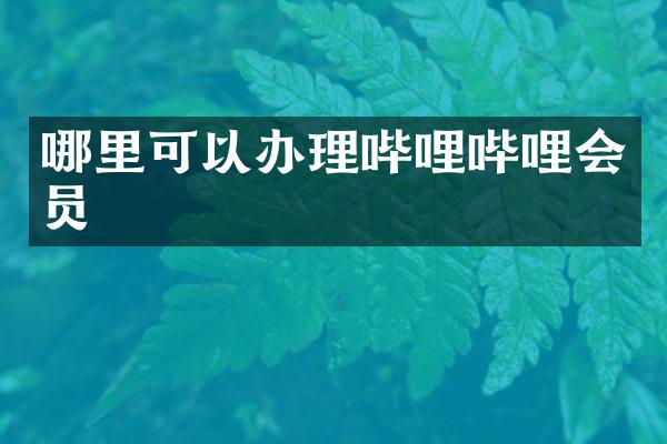哪里可以办理哔哩哔哩会员