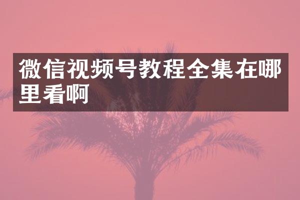 微信视频号教程全集在哪里看啊