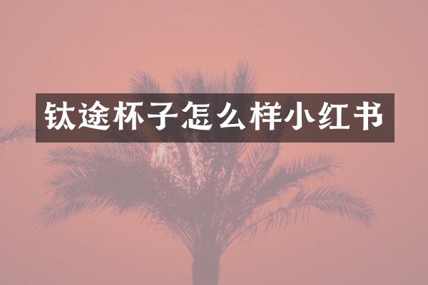 钛途杯子怎么样小红书
