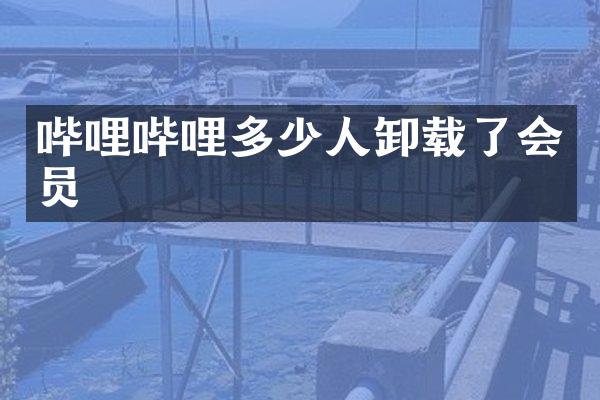 哔哩哔哩多少人卸载了会员