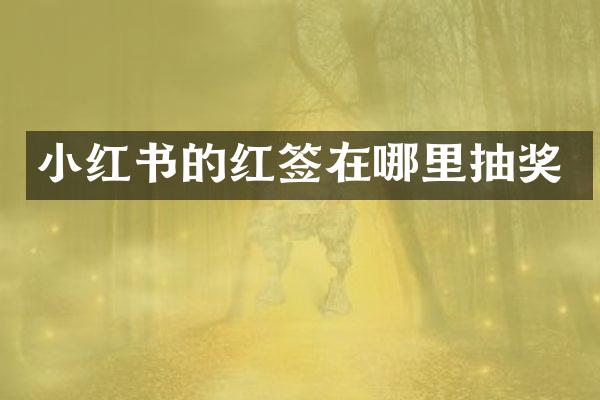 小红书的红签在哪里抽奖