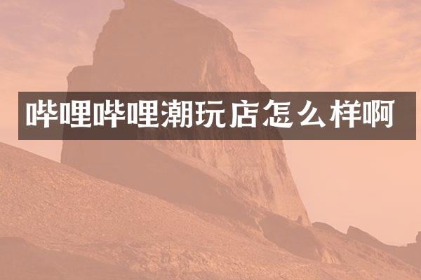 哔哩哔哩潮玩店怎么样啊