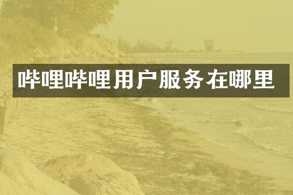 哔哩哔哩用户服务在哪里