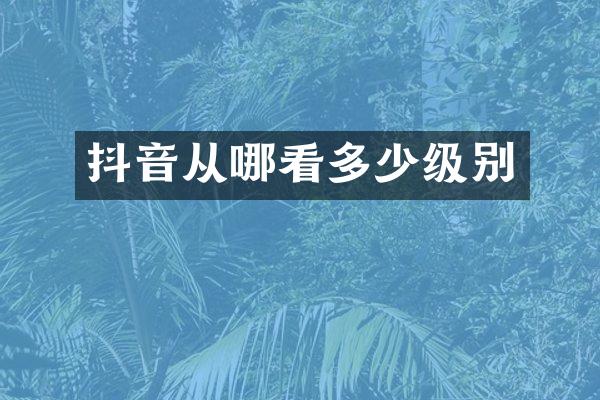 抖音从哪看多少级别
