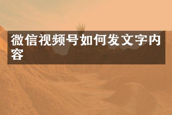 微信视频号如何发文字内容