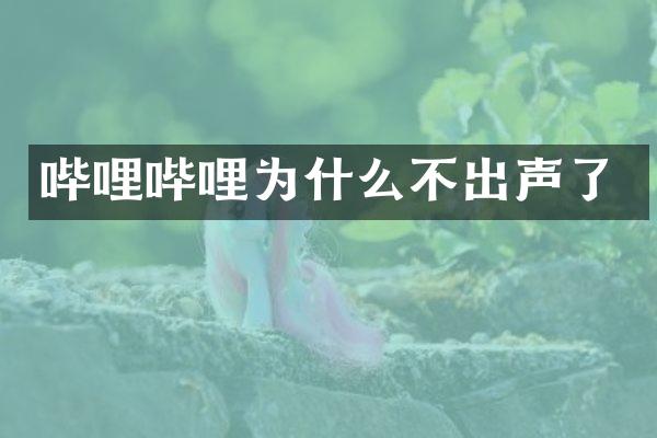哔哩哔哩为什么不出声了