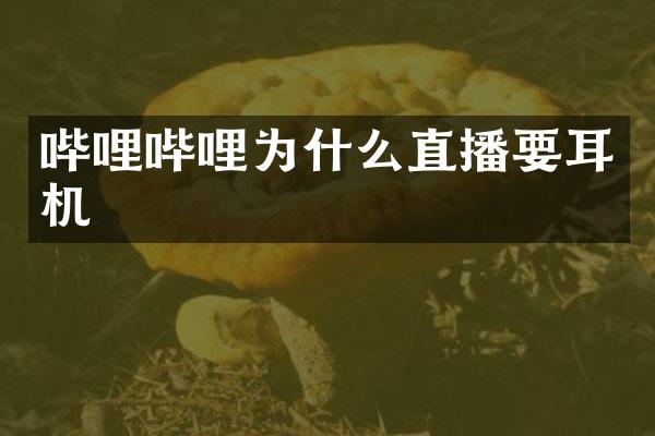 哔哩哔哩为什么直播要耳机