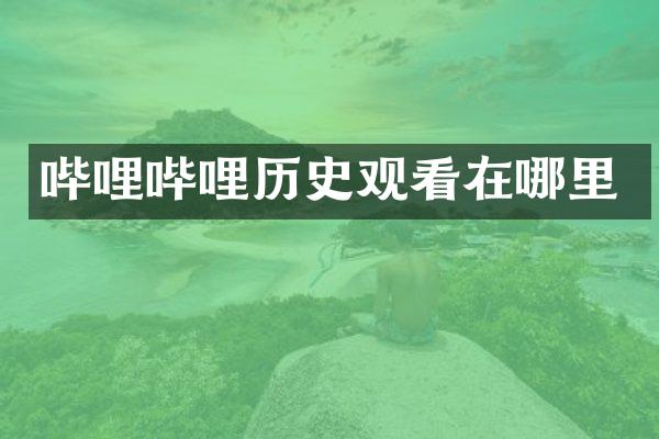 哔哩哔哩历史观看在哪里