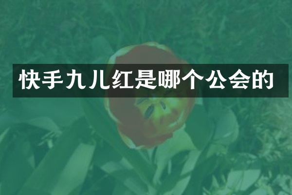 快手九儿红是哪个公会的