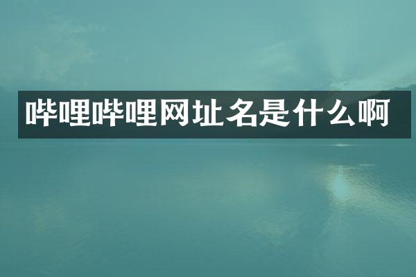 哔哩哔哩网址名是什么啊