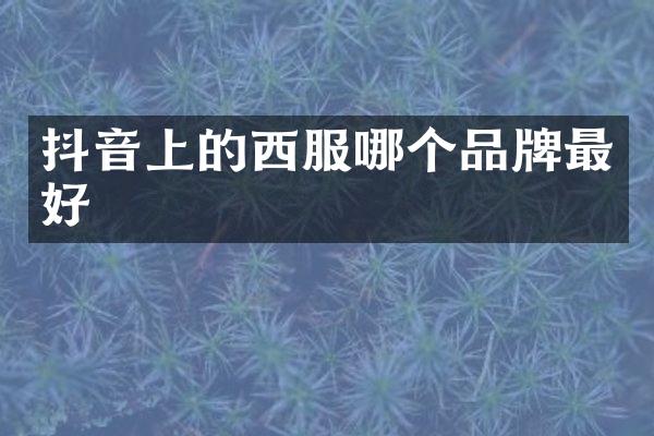 抖音上的西服哪个品牌最好