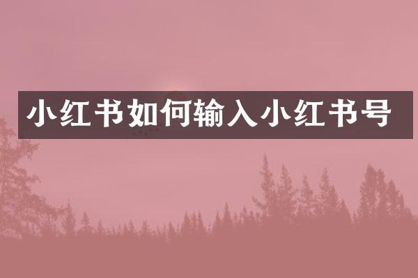 小红书如何输入小红书号