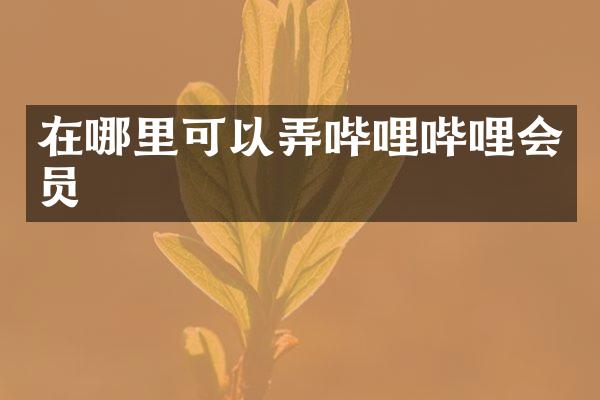 在哪里可以弄哔哩哔哩会员