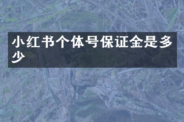 小红书个体号保证金是多少
