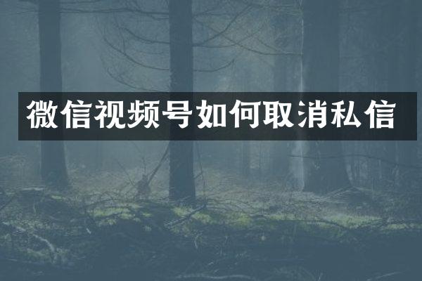 微信视频号如何取消私信