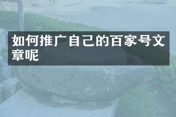如何推广自己的百家号文章呢