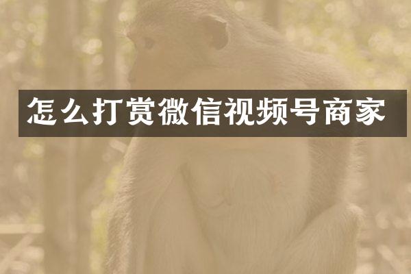 怎么打赏微信视频号商家