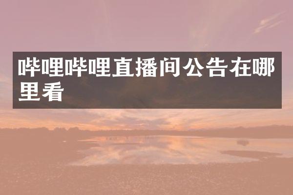 哔哩哔哩直播间公告在哪里看