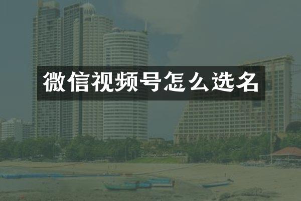 微信视频号怎么选名