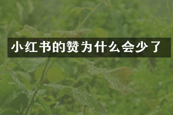 小红书的赞为什么会少了