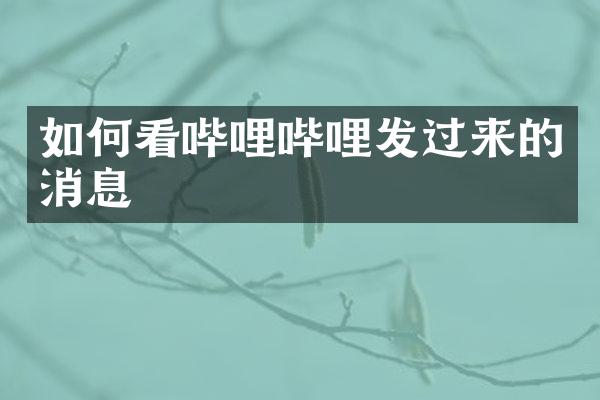 如何看哔哩哔哩发过来的消息