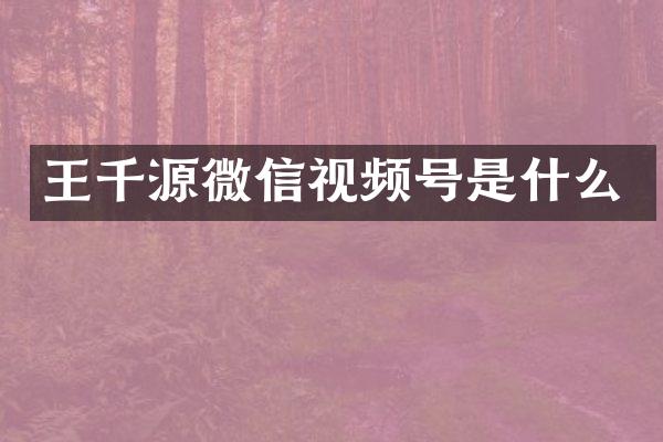 王千源微信视频号是什么