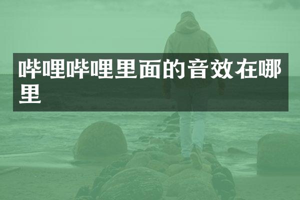 哔哩哔哩里面的音效在哪里