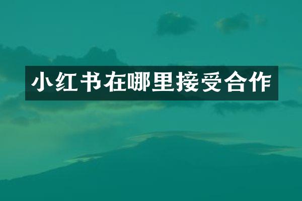 小红书在哪里接受合作