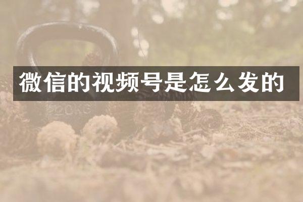 微信的视频号是怎么发的
