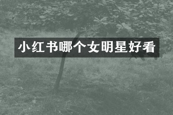 小红书哪个女明星好看